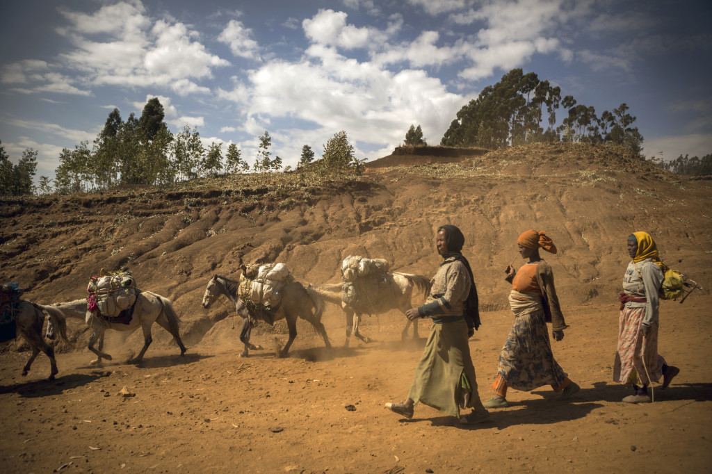 Caption: Community members from Adberwelia, Ethiopia travel to a market in the town of Kibet. Photo by Jake Lyell. tag = women group walking outdoors animals donkey horse sky clouds Original: Villagers in Adberwelia, Ethiopia descend to the town of Kibet with their horses and donkeys where a weekly market is held. .Ethiopia - January 30, 2014.ChidlFund Australia - Photo by Jake Lyell